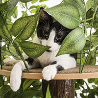 On2Pets Cat Condo Muebles - BESTMASCOTA.COM