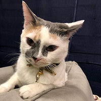PetSoKoo - Collar para gato con campana Elegante lazo con colgante de hueso de pez. Rotura de seguridad, peso ligero, suave, duradero. - BESTMASCOTA.COM