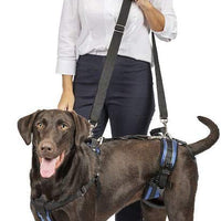 Arnés para perro, soporte de elevación y ayuda, SOLVIT Carelift - BESTMASCOTA.COM