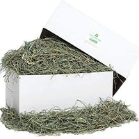 Small Pet Select Orchard Grass Hay Pet Food - BESTMASCOTA.COM