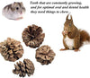 VCZONE - Juguetes para masticar conejo con forma de conejo y dientes de mascota de masticar juguetes orgánicos de manzana natural para conejos, chinchilla, cobayas, hámsters molienda de dientes - BESTMASCOTA.COM