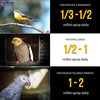 Birds LOVE Spray Millet Non-GMO for Birds Cockatiel Lovebird Parakeet Finch Canary All Parrots Healthy Treat - BESTMASCOTA.COM