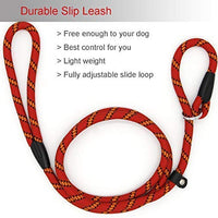 Correa Coolrunner collar de entrenamiento para mascota de Cesar el encantador de perros - BESTMASCOTA.COM