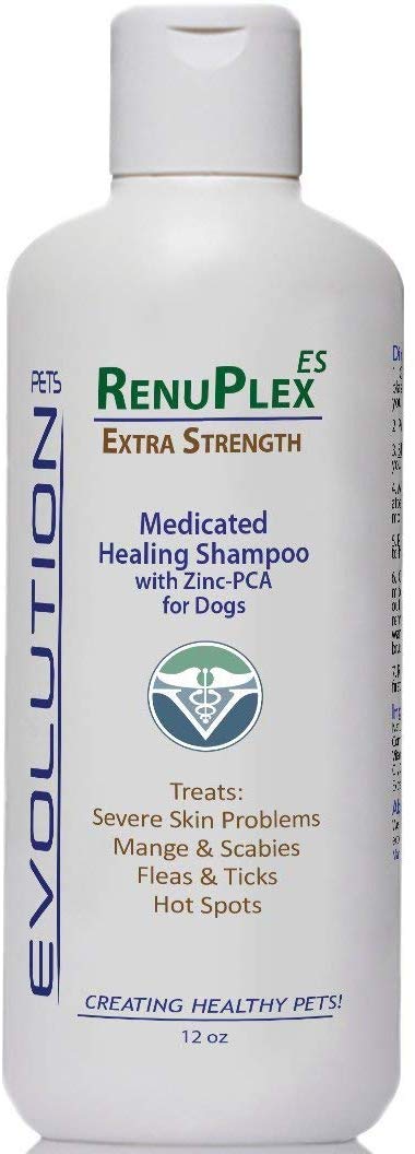 Champú para perros tratados por sarna. Champú antihongos RenuPlex, extra fuerte para perros. Elimina sarna, ácaros y costras. Champú antihongos, All Natural para perro. . - BESTMASCOTA.COM