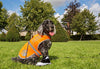 Chaleco reflectante de seguridad para perros, 5 tamaños para adaptarse a perros de 10 libras – 130 libras: alta visibilidad para actividades al aire libre día y noche, mantiene a tu perro visible, seguro de coches y accidentes de caza | Blaze Orange chale - BESTMASCOTA.COM