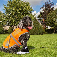 Chaleco reflectante de seguridad para perros, 5 tamaños para adaptarse a perros de 10 libras – 130 libras: alta visibilidad para actividades al aire libre día y noche, mantiene a tu perro visible, seguro de coches y accidentes de caza | Blaze Orange chale - BESTMASCOTA.COM