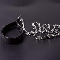 CtopoGo - Correa de metal para perro con asa acolchada para perros grandes y medianos - BESTMASCOTA.COM