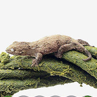 Jungle Vines decoración para, lagartos, ranas, serpientes y más de reptiles, asepsia y diseño ajustable, 6.56 pies Longitud Completa - BESTMASCOTA.COM