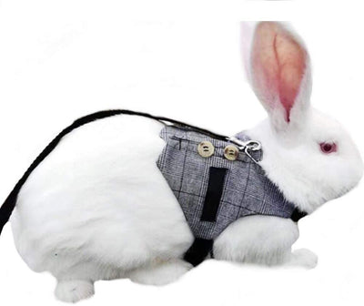 Stock Show - Juego de arnés y correa de chaleco de conejo vintage con botón decorativo, para mascotas pequeñas, ajustable, estilo formal, a cuadros, para conejos, gatitos, pequeños animales, caminar, correr - BESTMASCOTA.COM