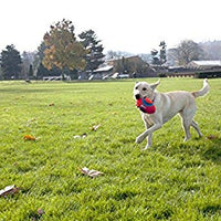 Chuckit Fumble Fetch Juguete para perros - BESTMASCOTA.COM