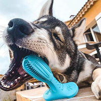 Cepillo de dientes de goma natural para perros de HETOO - BESTMASCOTA.COM