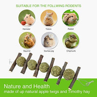 PETLAOO Conejo Masticar Juguetes para Dientes, Mejorar la Salud Odontológica – Bastones de manzana 100% naturales – Hecho a mano, adecuado para conejos, chinchillas, cobayas, hámsteres, masticar/jugar - BESTMASCOTA.COM