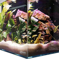 Lifegard Aquatics Crystal Aquarium - BESTMASCOTA.COM