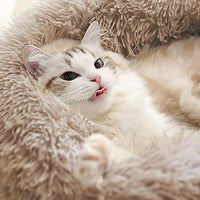 Love's Cabin - Cama para gatos de interior con calefacción para gatos con base impermeable y lavable a máquina, mullida cama de cojín para aliviar las articulaciones y mejorar el sueño - BESTMASCOTA.COM