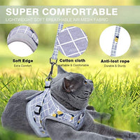 Arnés de gato y correa a prueba de escape y arnés para perro ajustable de malla suave para caminar con correa reflectante para mascotas, gatito, cachorro y conejo - BESTMASCOTA.COM