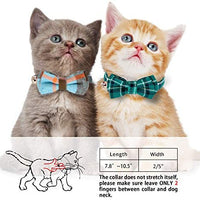 KUDES - Juego de 2 collares para gato con pajarita y campana para gatitos y algunos cachorros, ajustable de 7.8 a 10.5 pulgadas - BESTMASCOTA.COM