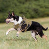 Rabbitgoo Tactical Dog Harness Vest Large with Handle, Military Working Dog Molle Vest with Metal Buckles & Loop Panels, No-Pull Adjustable Training Harness with Leash Clips for Walking Hiking Hunting - BESTMASCOTA.COM
