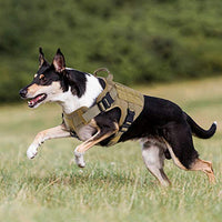 Rabbitgoo Tactical Dog Harness Vest Large with Handle, Military Working Dog Molle Vest with Metal Buckles & Loop Panels, No-Pull Adjustable Training Harness with Leash Clips for Walking Hiking Hunting - BESTMASCOTA.COM