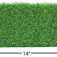 Downtown Pet Supply - Árbol y ejercitador interactivo de lujo para gatos rascadores y postes de sisal para gatito, juguetes interactivos para gatos (regular, premium, gigante, alto de 4 niveles de rasguño) - BESTMASCOTA.COM