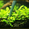 PERSUPER - Pinzas para plantas acuáticas de acero inoxidable 4 en 1, juego de herramientas para acuarios y acuarios, kit de herramientas para principiantes de peces y acuarios - BESTMASCOTA.COM