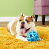 JW Pet Company HOL-ee Roller X Extreme 5 Juguete para perro, 5 pulgadas (los colores varían) – 43140 - BESTMASCOTA.COM