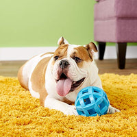 JW Pet Company HOL-ee Roller X Extreme 5 Juguete para perro, 5 pulgadas (los colores varían) – 43140 - BESTMASCOTA.COM