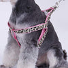 PAWZ Road Leopard Pet Leash Collar Arnés Set - BESTMASCOTA.COM