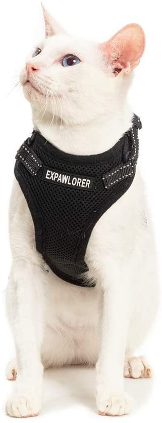 EXPAWLORER Arnés para gato a prueba de escape, ajustable, ligero, cómodo, transpirable, chaleco de malla con correa reflectante negra para gatos y cachorros adultos - BESTMASCOTA.COM