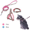 PAWZ Road Leopard Pet Leash Collar Arnés Set - BESTMASCOTA.COM