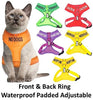 Arnés para gato acolchado y resistente al agua Dexil - BESTMASCOTA.COM