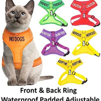 Arnés para gato acolchado y resistente al agua Dexil - BESTMASCOTA.COM