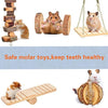 JEMPET - Juguetes para masticar hámsteres, gérmenes de madera natural, ratas, chinchillas, juguetes, accesorios, mancuernas, mancuernas, mancuernas, rodillo, cuidado de dientes, juguete molar para conejos de cobaya, conejos - BESTMASCOTA.COM