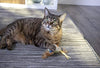 Petlinks System Sweet Tweet Cat Toy - BESTMASCOTA.COM