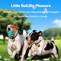 Idepet Pelota de juguete para perro, no tóxica, resistente a mordidas, pelota de juguete para mascotas, perros, cachorros, gatos, alimentador de comida para mascotas, masticar, limpieza de dientes, juego de pelotas de ejercicio, 2 unidades, azul y verde - BESTMASCOTA.COM