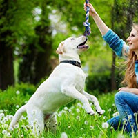 BUIBIIU Juguetes para perro, juguetes para masticar a cachorros, juguetes de dentición, juguetes de cuerda, pelotas - BESTMASCOTA.COM