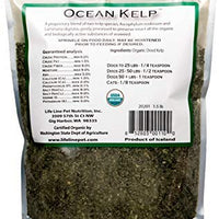Life Line Pet Nutrition Organic Ocean Kelp Supplement for Skin & Coat, Digestion, Teeth & Gums in Dogs & Cats, 8-Ounce - BESTMASCOTA.COM