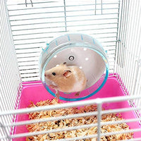 Goldeal - Rueda silenciosa para hámster de 4,7 pulgadas, juguete para jaula de hámster, rueda giratoria de ejercicio para hámsteres, jerbos o ratones - BESTMASCOTA.COM