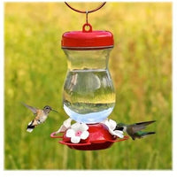 Perky Pet Colibrí alimentador de vidrio (24 oz Vida Como - BESTMASCOTA.COM