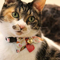 Necoichi Kimono - Collar para gato - BESTMASCOTA.COM