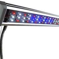 Luz LED para acuario Finnex Fugeray Planted+ más luz de luna, broche de luz - BESTMASCOTA.COM