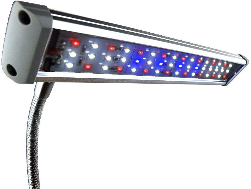 Luz LED para acuario Finnex Fugeray Planted+ más luz de luna, broche de luz - BESTMASCOTA.COM