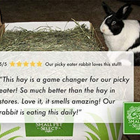 Small Pet Select Orchard Grass Hay Pet Food - BESTMASCOTA.COM