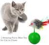 upsimples Cat Toys Including Cat Teaser Wand Interactive Feather Toy Fluffy Mouse Mylar Crinkle Balls Catnip Pillow for Kitten Kitty - BESTMASCOTA.COM