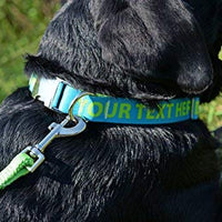 Collar de perro personalizado premium con cierre de metal – disponible en 20 colores + varios tamaños - BESTMASCOTA.COM