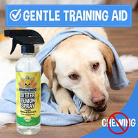 Bodhi Dog Bitter Lemon Spray | Stop Biting and Chewing for Puppies Older Dogs and Cats | Anti Chew Spray Puppy Kitten Training Treatment | 100% Non Toxic | Made in USA - BESTMASCOTA.COM
