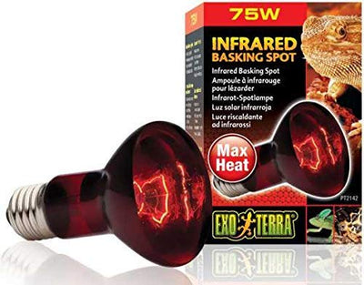 Lámpara de infrarrojos Exo Terra heat-glo Spot, 120 voltios - BESTMASCOTA.COM