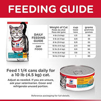 Hill's Science Diet - Alimento seco para gatos, para adultos en interiores y receta de pollo - BESTMASCOTA.COM