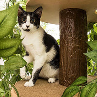 On2Pets Cat Condo Muebles - BESTMASCOTA.COM