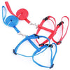 Gato Arnés y Correa Ajustable Cuello Nylon Azul, Rojo y 1 2 Pack perro One Size Fits All - BESTMASCOTA.COM