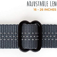 Cinturón de seguridad para perro, material resistente, incluyendo anexo de giro sin enredos, mosquetón y barra apego. De Mighty Paw - BESTMASCOTA.COM